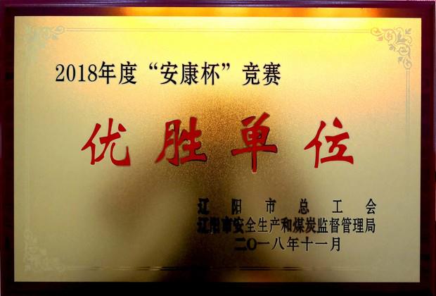 pp电子集团荣获“2018年度安康杯竞赛优胜单位”