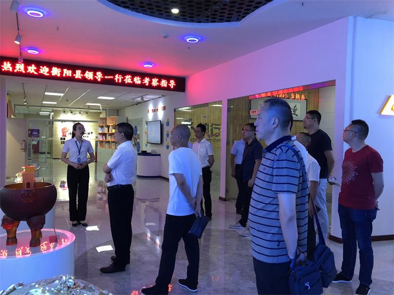 湖南省衡阳县常务副县长王苏龙一行莅临pp电子集团考察财路大数据项目